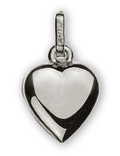 AHE2024.jpg