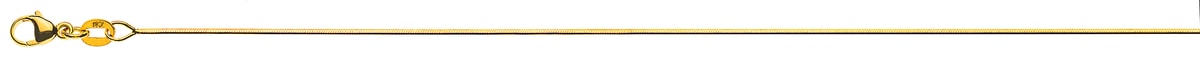 CSC1004.jpg