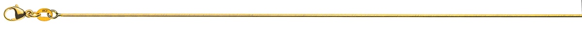 CSC1005.jpg